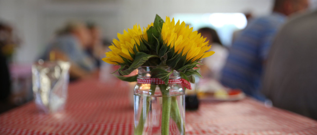 Sunflower in a vase.